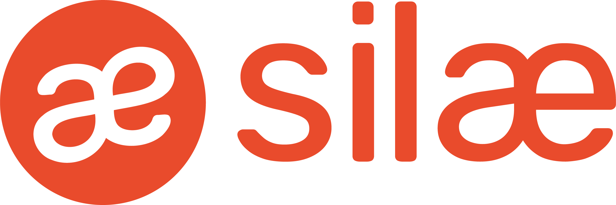 silae-guide-complet-2025 Logo de Silae expert comptable